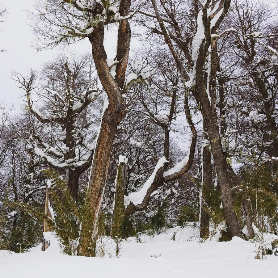 サンカルロスデバリローチェBuena Vistaアパートメント エクステリア 写真